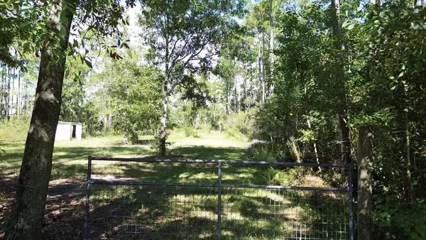 6795 Larimore St, Wewahitchka, FL 32465