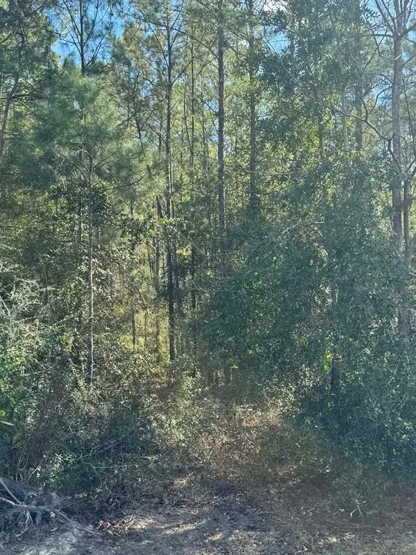 391 Jim Rish St, Wewahitchka, FL 32465