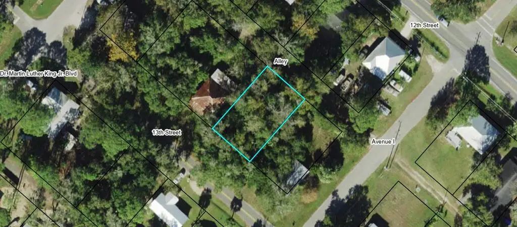 163 13th St, Apalachicola, FL 32320 - #1