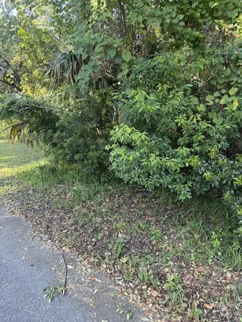 163 13th St, Apalachicola, FL 32320 - #2