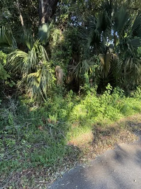 163 13th St, Apalachicola, FL 32320 - #3