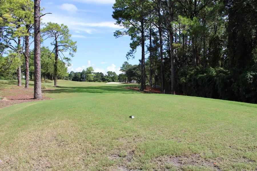 257 Royal Tern Way, Carrabelle, FL 32322 - #2