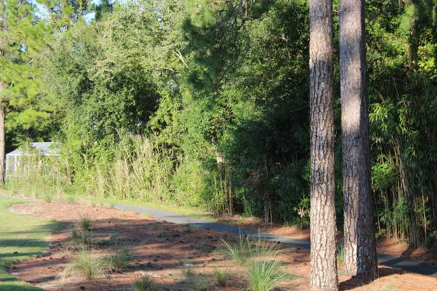 257 Royal Tern Way, Carrabelle, FL 32322 - #3