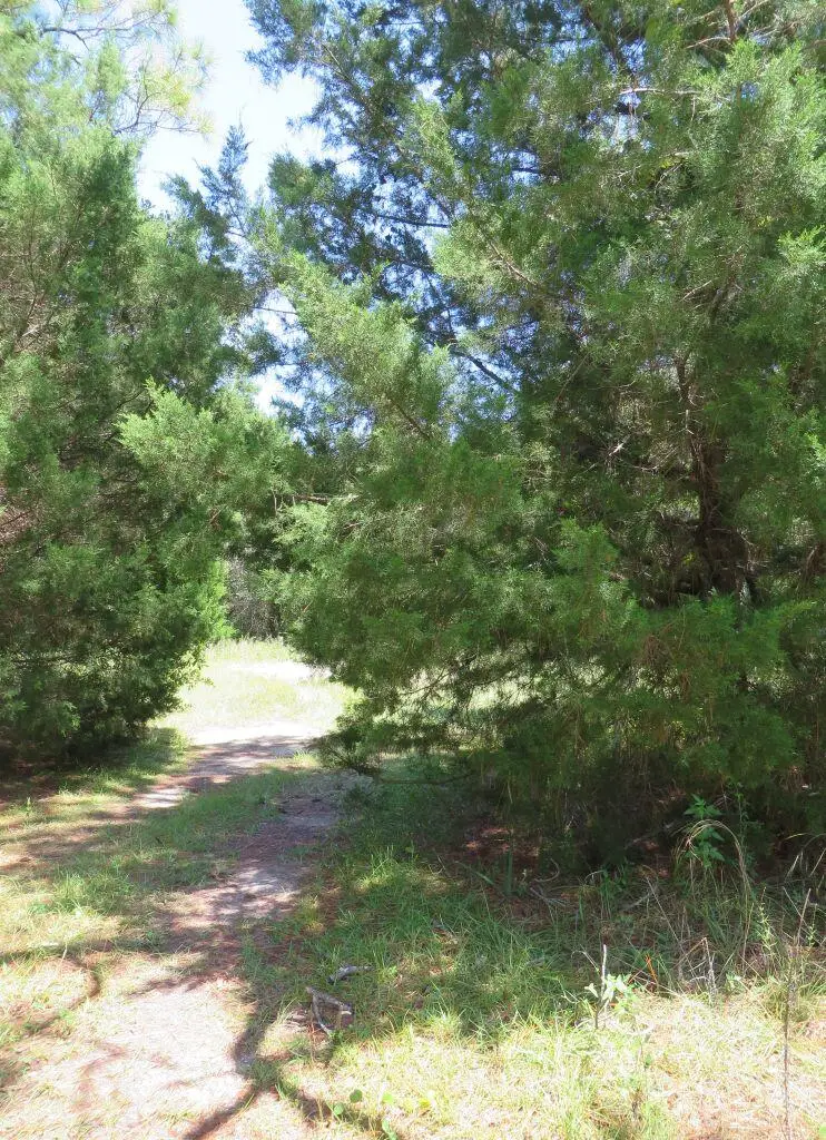 2664 Oak St, Carrabelle, FL 32322 - #2