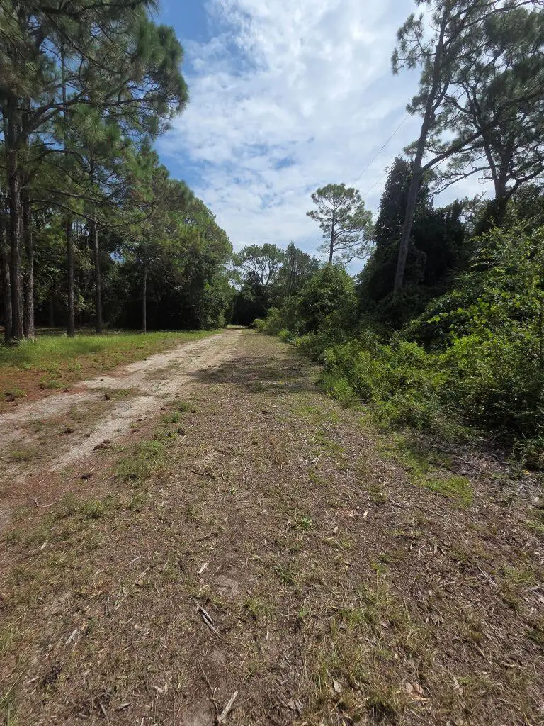 2664 Oak St, Carrabelle, FL 32322 - #3