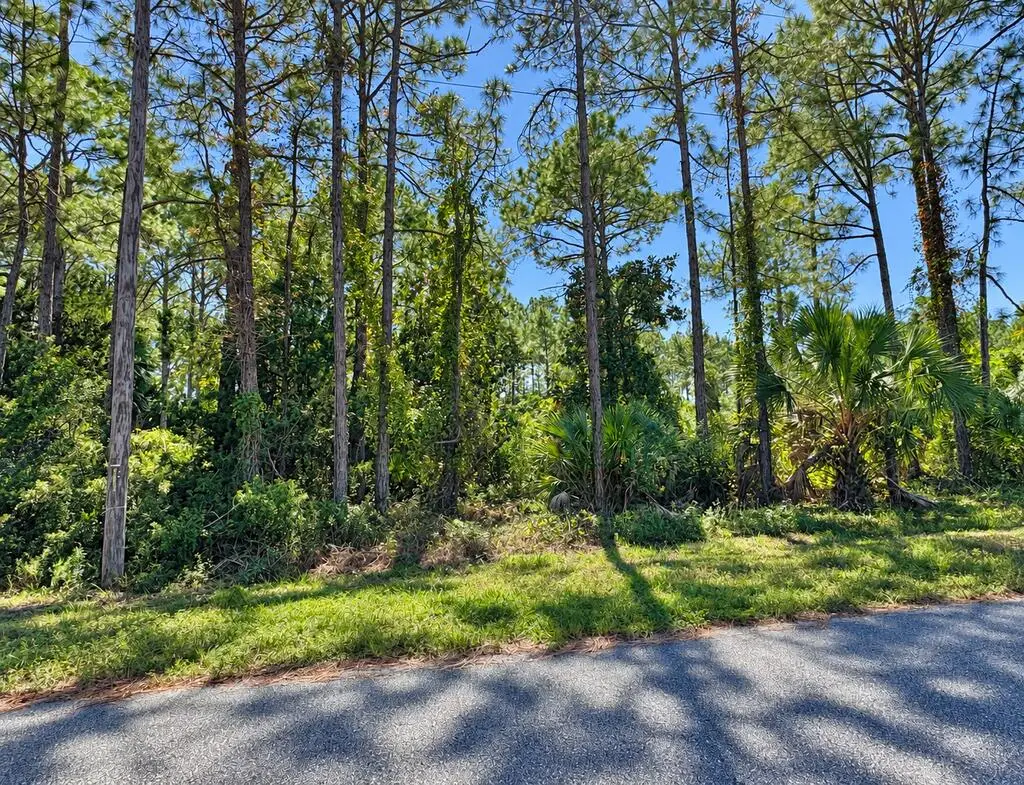 Lot 4 Country Club Rd, Port Saint Joe, FL 32456 - #1