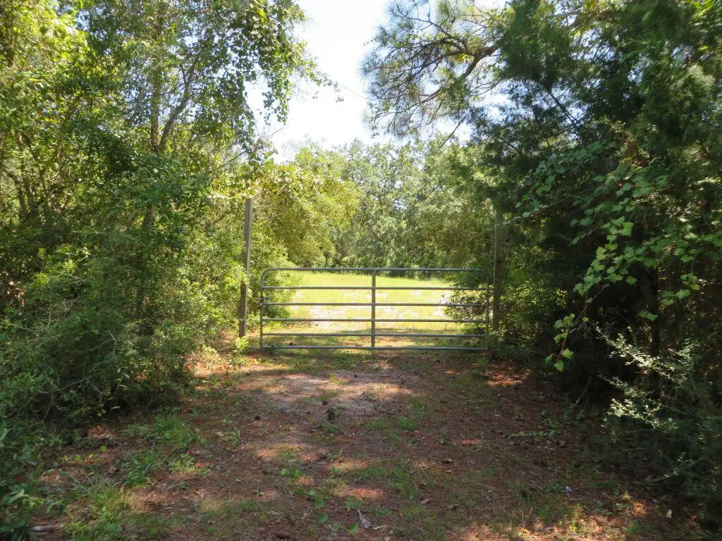 2654 + Oak St, Carrabelle, FL 32322 - #1