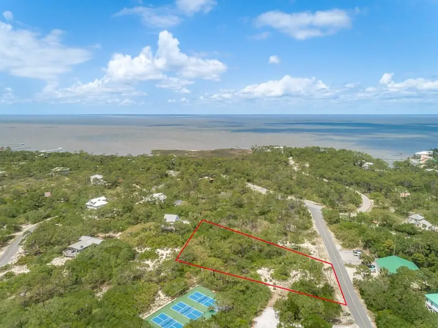 1224 Sea Pines Pl, Saint George Island, FL 32328 - #3