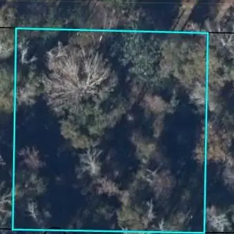 325 Riverside Cir, Wewahitchka, FL 32465 - #1
