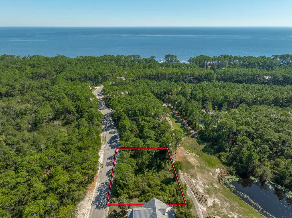 211 Royal Tern Way, Carrabelle, FL 32323 - #1