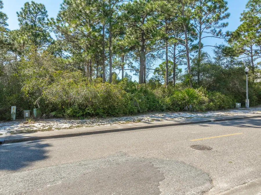 211 Royal Tern Way, Carrabelle, FL 32323 - #2
