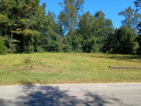 247 Pine Ave, Wewahitchka, FL 32465