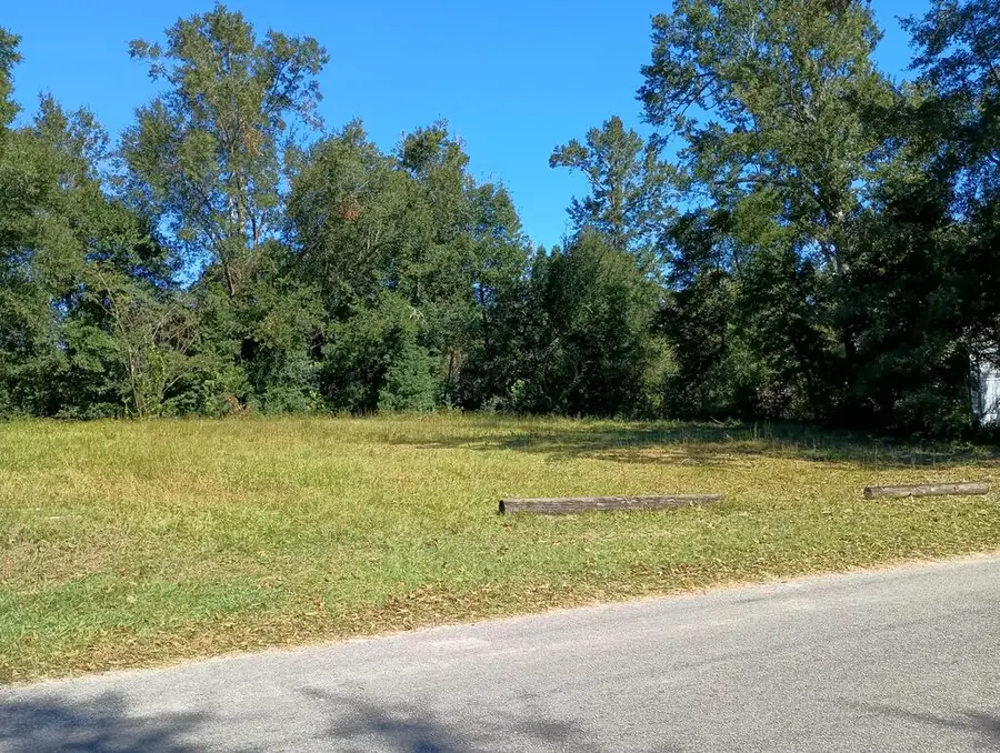 247 Pine Ave, Wewahitchka, FL 32465 - #2