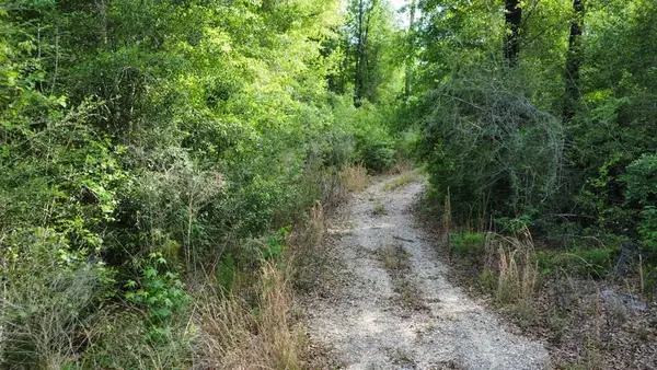 147 Faison Rd, Wewahitchka, FL 32465