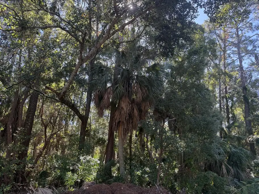 3 Marks St, Apalachicola, FL 32320 - #2