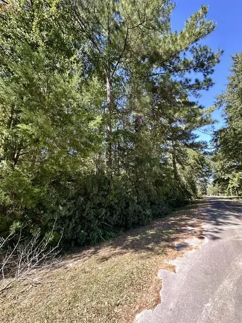 Lot 1&3 Pinecrest Dr, Wewahitchka, FL 32465 - #1