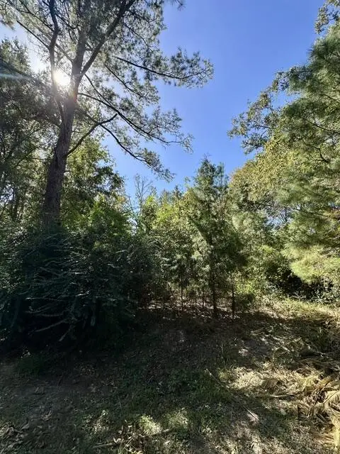 Lot 1&3 Pinecrest Dr, Wewahitchka, FL 32465 - #2