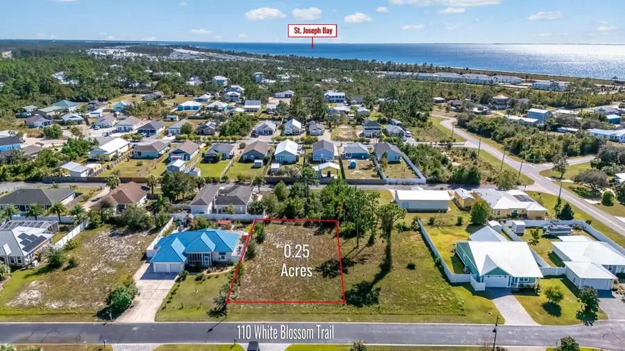 110 White Blossom Trl, Port Saint Joe, FL 32456 - #3