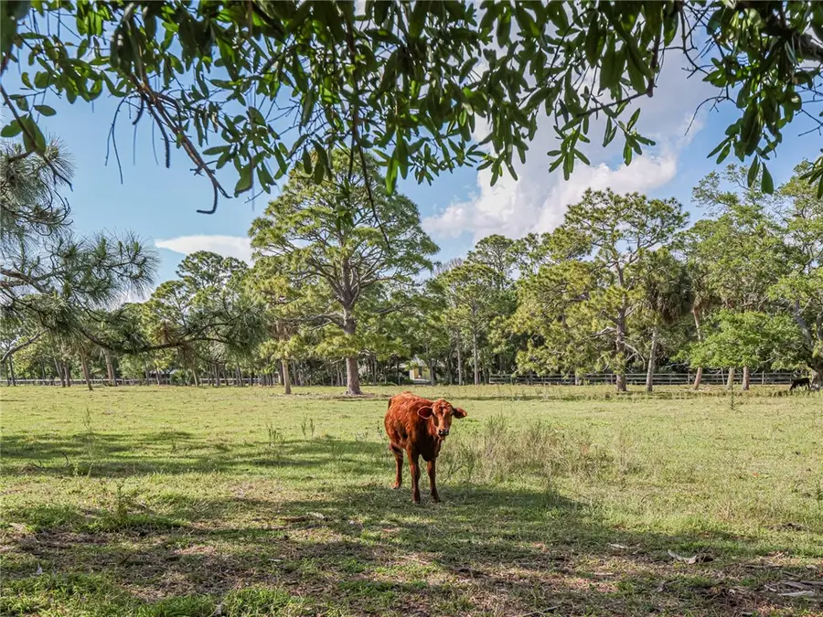 1491 S Brocksmith Road, Fort Pierce, FL 34945 - #3