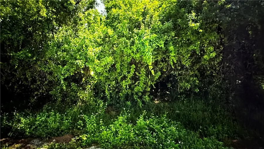 7710 92nd Court, Vero Beach, FL 32967 - Image #3