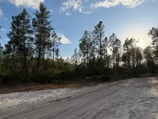 880 Still Road, Pierson, FL 32180 - #2