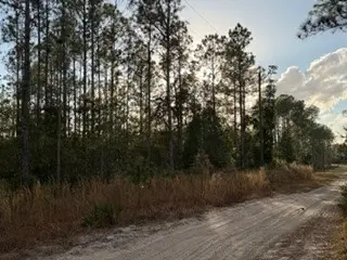 880 Still Road, Pierson, FL 32180 - #3