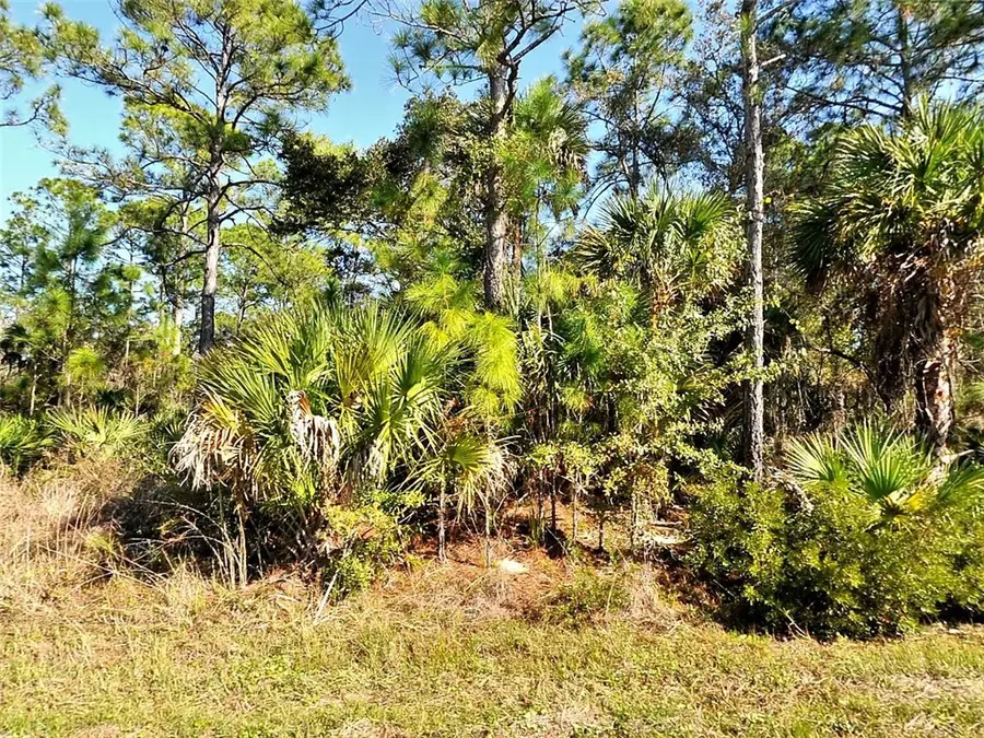 Lot 29 Hazelton Avenue, North Port, FL 34286 - #2