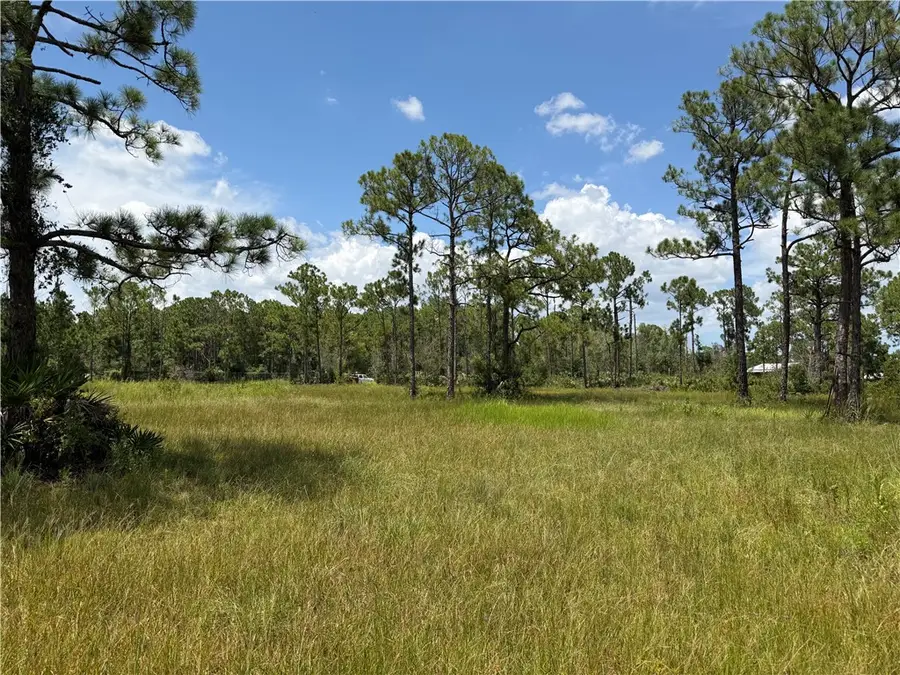 13180 83rd Street, Fellsmere, FL 32948 - #2