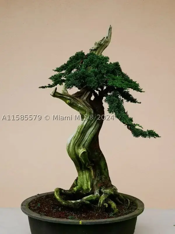 Sin # Zarcero Canuela, Grant, FL  - #2