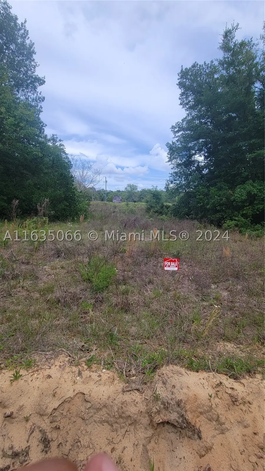 0 Lenore, Interlachen, FL 32148 - #3