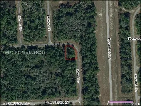 319 James Irwin Terr, Banyan, Labelle, FL 33935 - #1