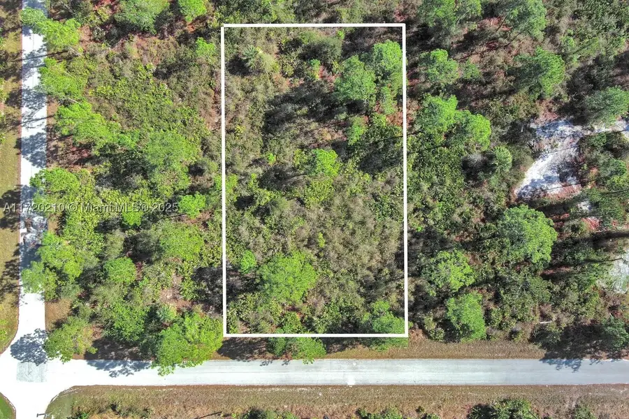 1020 Lake, Lehigh Acres, FL 33972 - #2