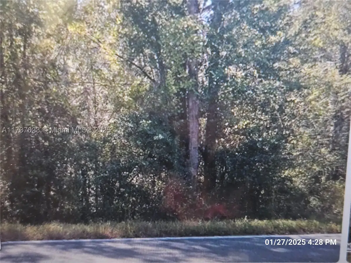 1142 County Rd 20a, Interlachen Florahome, FL 32640 - #1