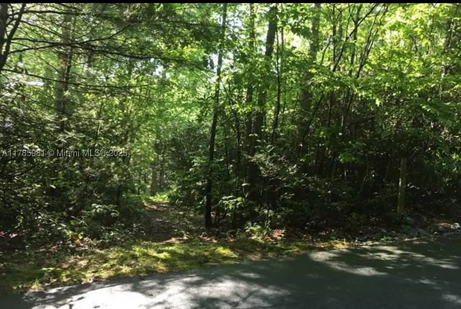 Lot 66 Juniper, Sapphire, NC 28774 - #2