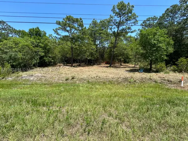 11287 S Suncoast, Other Fl City, FL 34446
