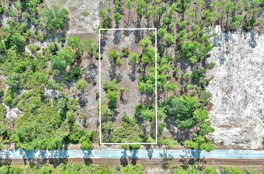 317 Fitch, Lehigh Acres, FL 33936 - #2