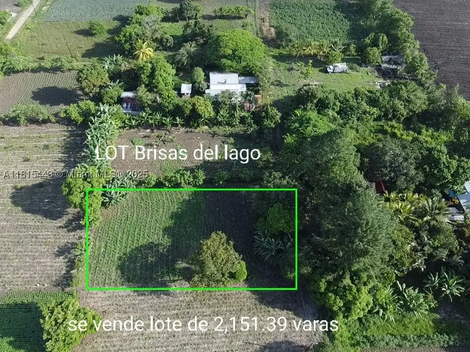 03 Lago De Yojoa, Almont, FL 21000 - #1