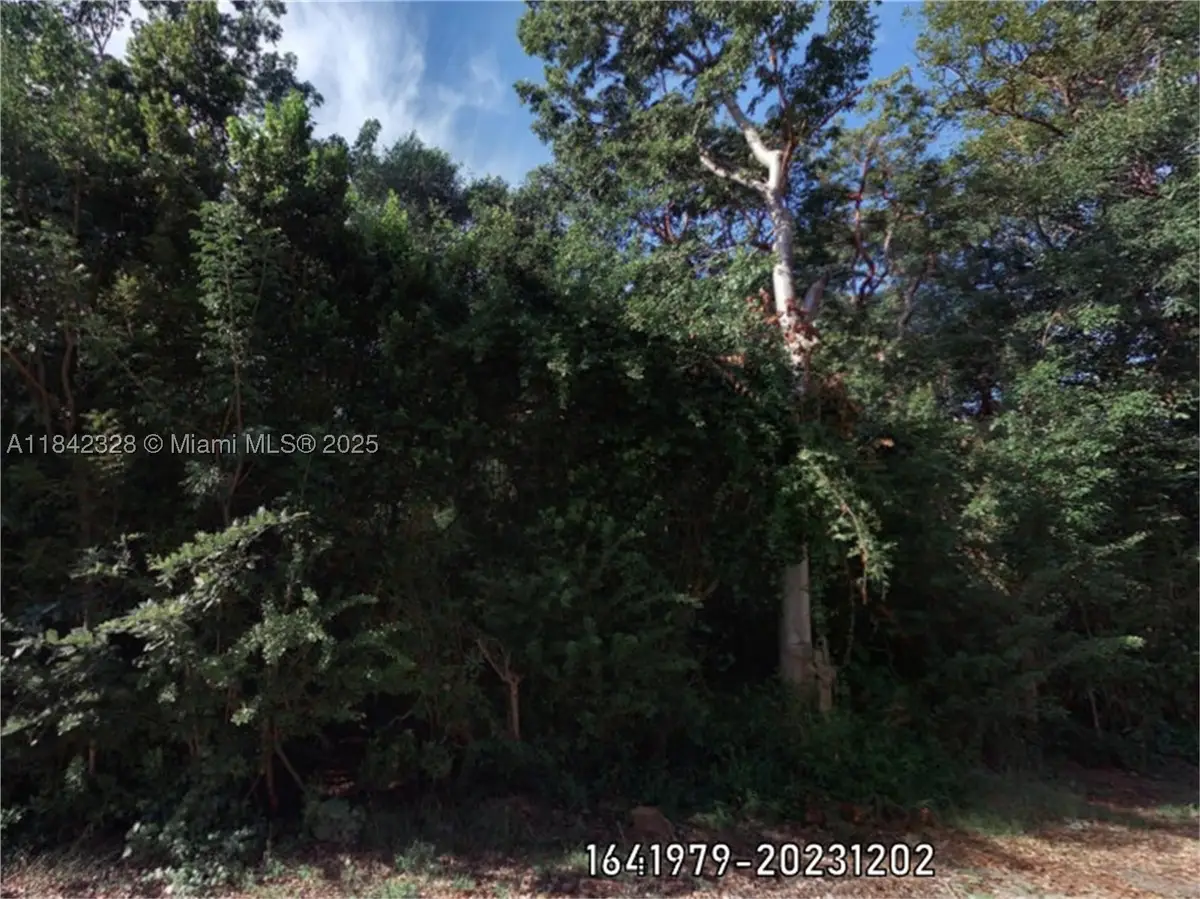 00 Poinsetta, Key Largo, FL 33037 - #1