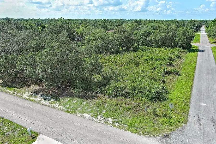 2517 W 67th, Lehigh Acres, FL 33971 - #3