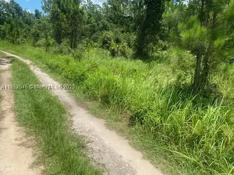 0 Deen Still Rd E, Other Fl City, FL 33868 - #3