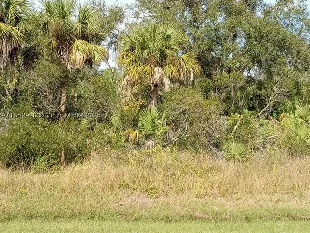 26054 Notre Dame, Punta Gorda, FL 33955 - #1