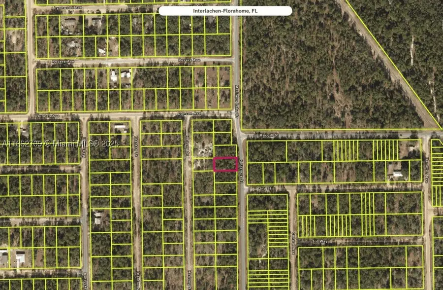128 N Francis, Interlachen Florahome, FL 32148 - #3