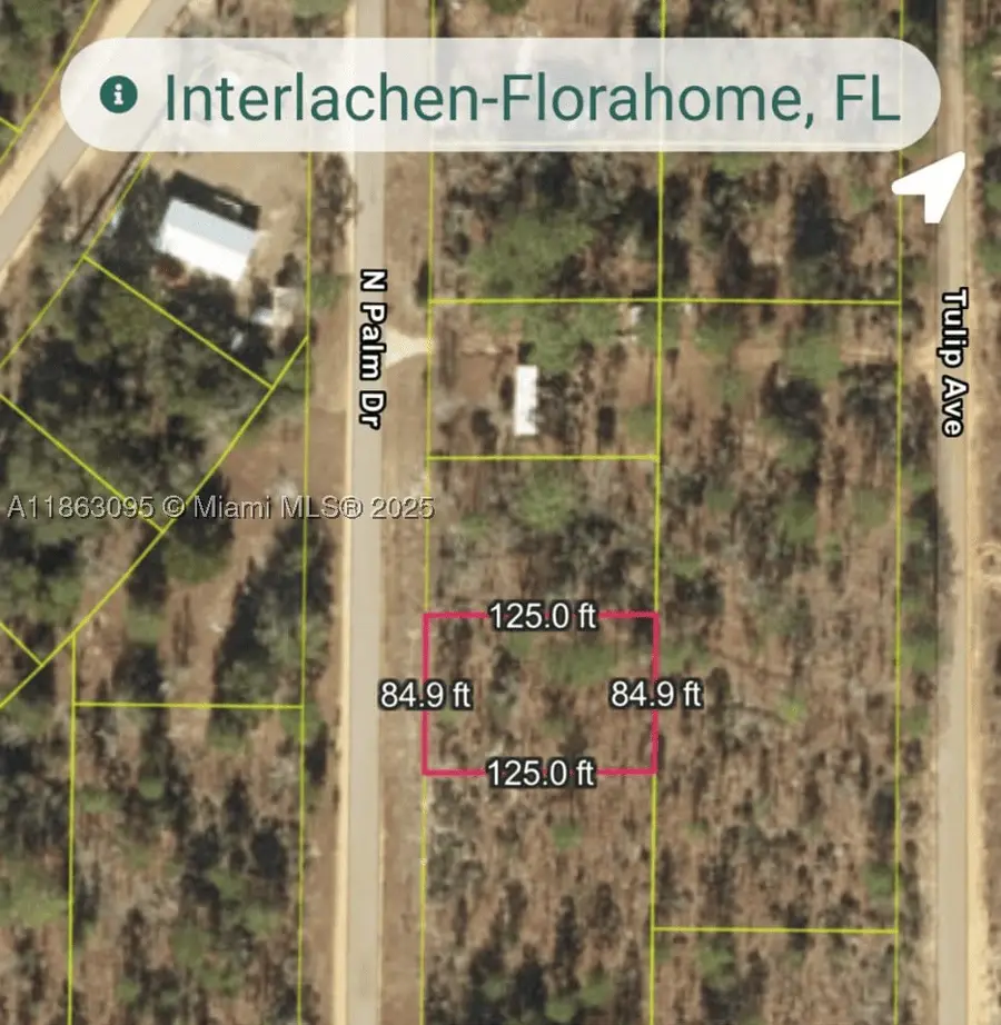 108 N Palm, Interlachen Florahome, FL 32148 - #3