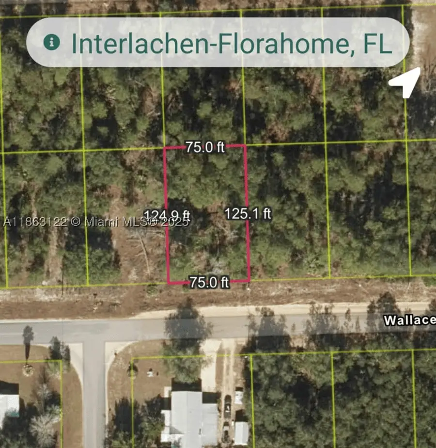 105 Wallace, Interlachen Florahome, FL 32148 - #3