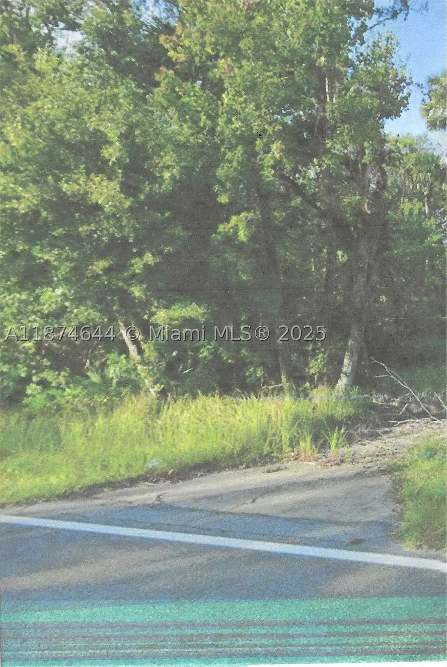 00 Adair, Davenport, FL 33837 - #2