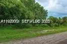 613 Grant, Lehigh Acres, FL 33974 - #3