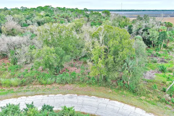 173 Carousel, Labelle, FL 33935