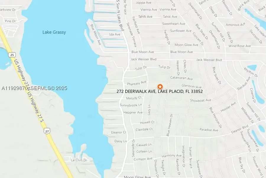 272 Deerwalk, Lake Placid, FL 33852 - #3