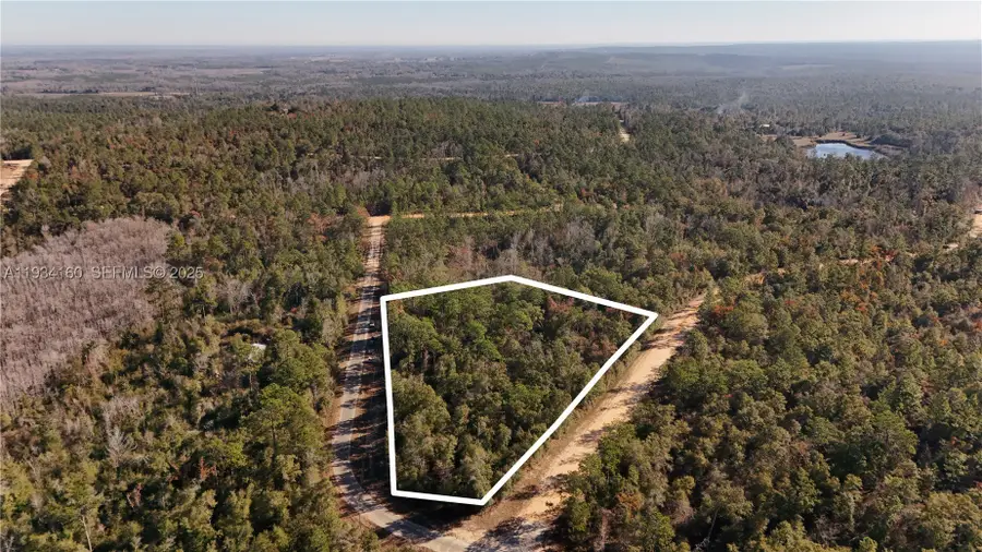 0 Alene, Other Fl City, FL 32420 - #2