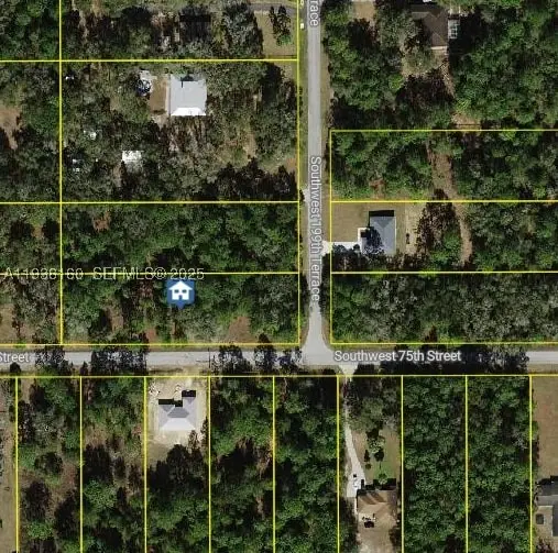 No Street, Other Fl City, FL 34431